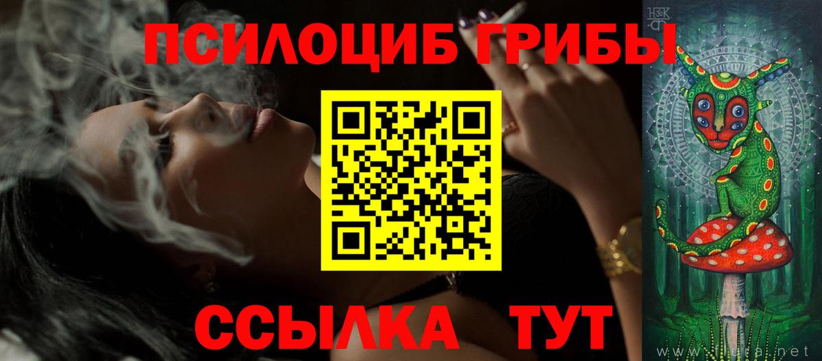 Псилоцибиновые грибы MAGIC MUSHROOMS Чебаркуль